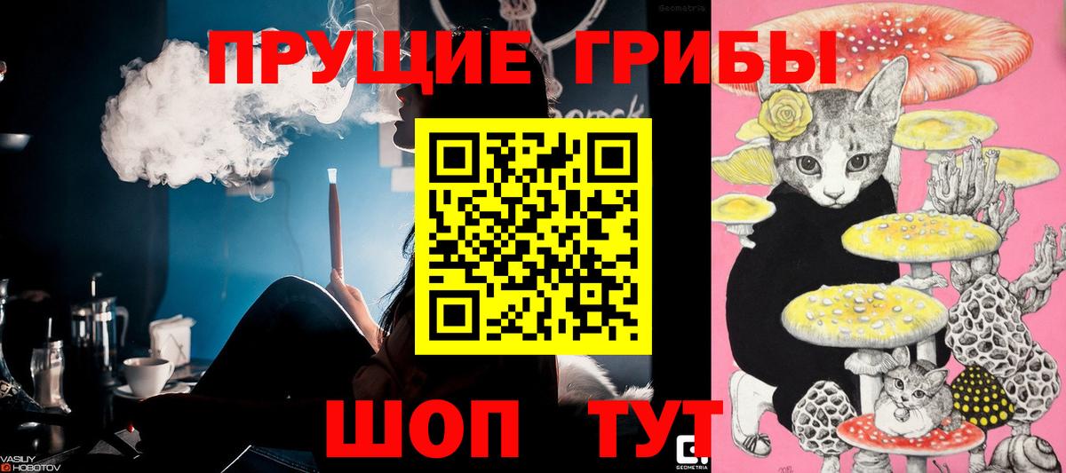 Псилоцибиновые грибы мухоморы Сертолово