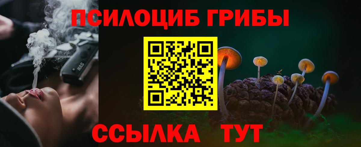 Псилоцибиновые грибы GOLDEN TEACHER  Вход с VPN  Сертолово 